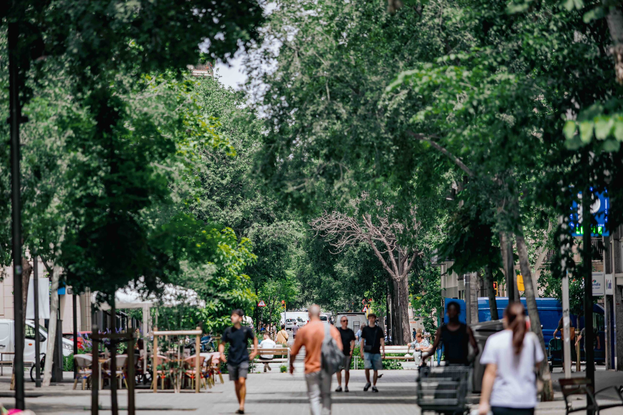 Més de mil refugis climàtics per combatre la calor extrema